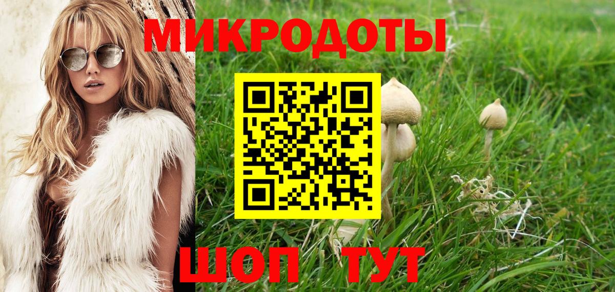 Галлюциногенные грибы мухоморы Горно-Алтайск
